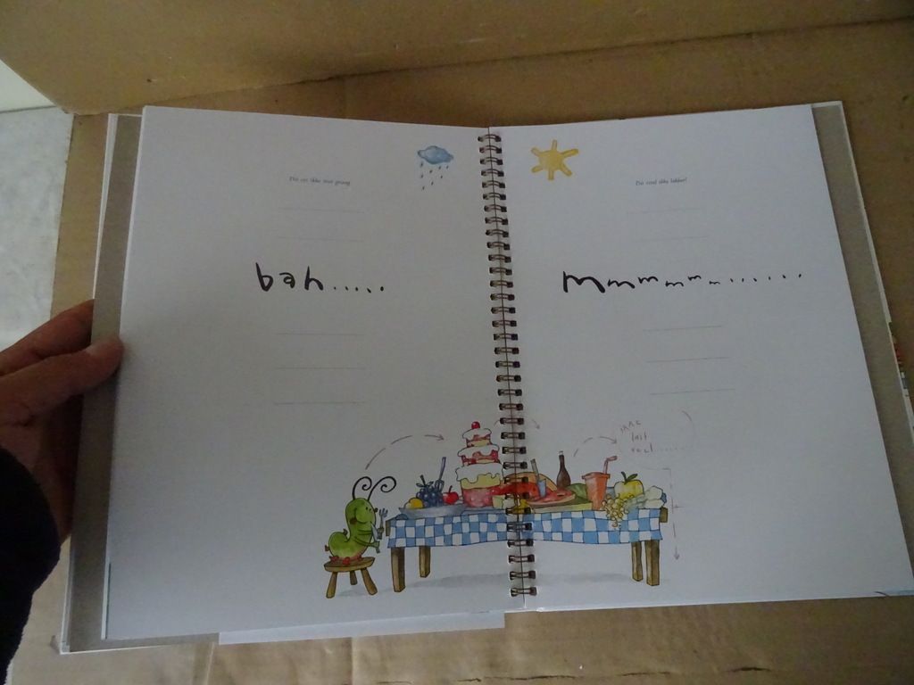 Het boek van ikke nieuw in verpakking - Afbeelding 19