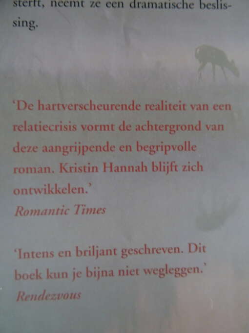 Kristin Hannah In het daglicht