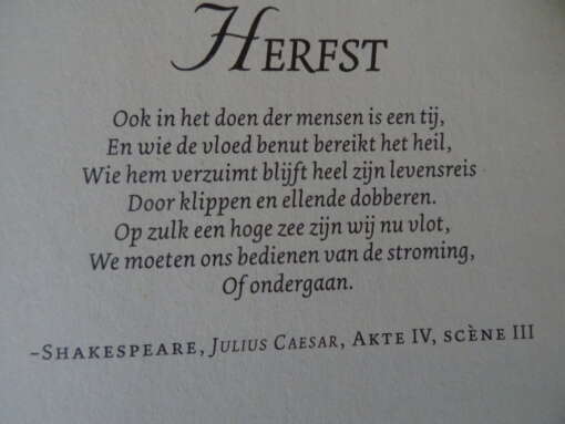 Kristin Hannah In het daglicht