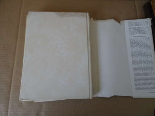 Nelson Beecher Keyes Van het paradijs tot Golgotha