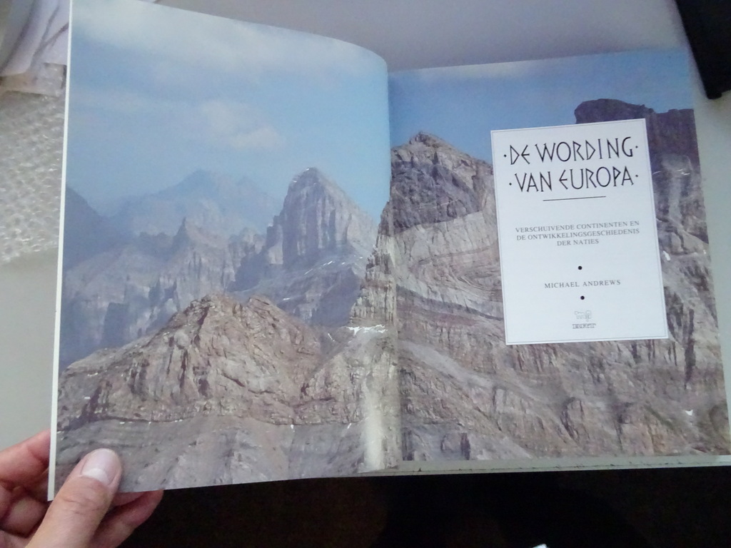 Michael Andrews De wording van Europa - Afbeelding 8