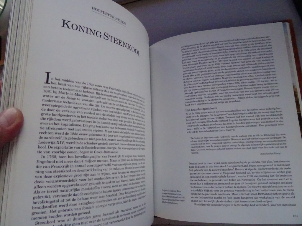 Michael Andrews De wording van Europa - Afbeelding 15