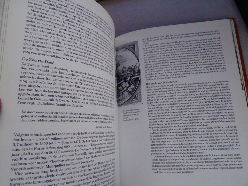 Michael Andrews De wording van Europa - Afbeelding 17