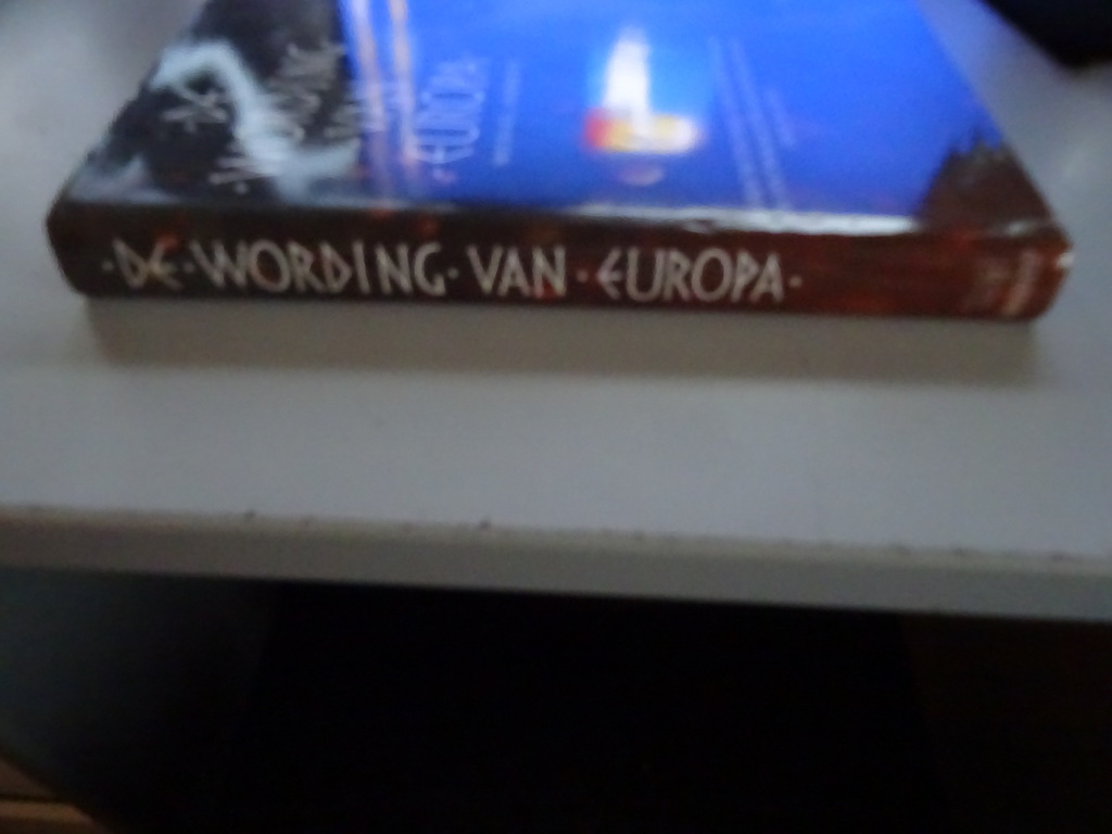 Michael Andrews De wording van Europa - Afbeelding 29