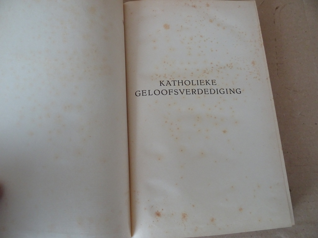 Dr. Brocardus Meijer Katholieke geloofsverdediging - Afbeelding 6