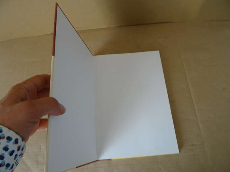 Alternative view of Evert van Ginkel & Koos Steehouwer ANWB Archeologieboek