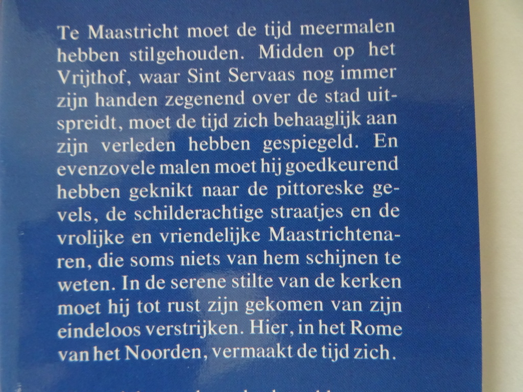 Frans van Pol Kijk op Maastricht met kaart Kazematten en gangenstelsel - Afbeelding 9