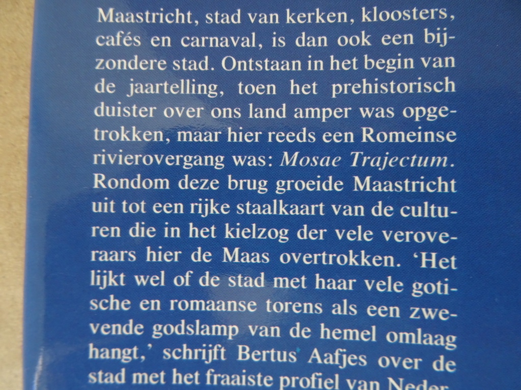 Frans van Pol Kijk op Maastricht met kaart Kazematten en gangenstelsel - Afbeelding 10