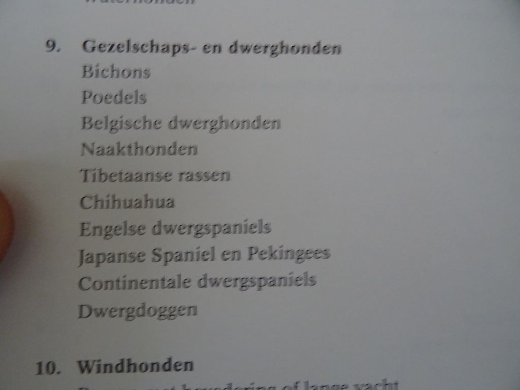 Esther Verhoef-Verhallen Geïllustreerde honden encyclopedie - Afbeelding 14