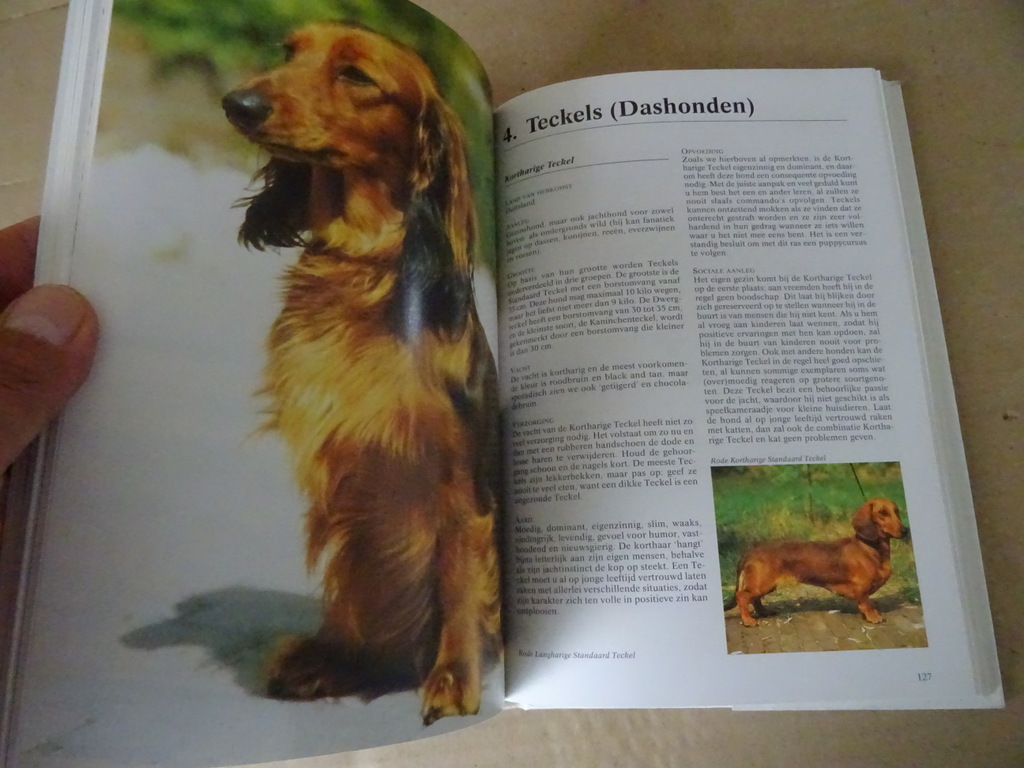 Esther Verhoef-Verhallen Geïllustreerde honden encyclopedie - Afbeelding 22
