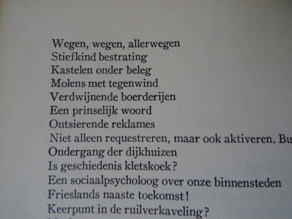 Ton Koot Help! Ze verpesten ons land - Afbeelding 16