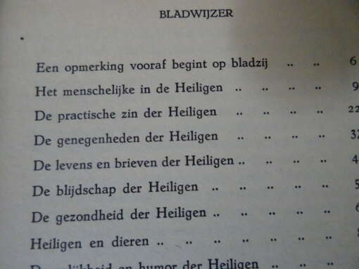 Aloysius Roche Heiligen van dichtbij