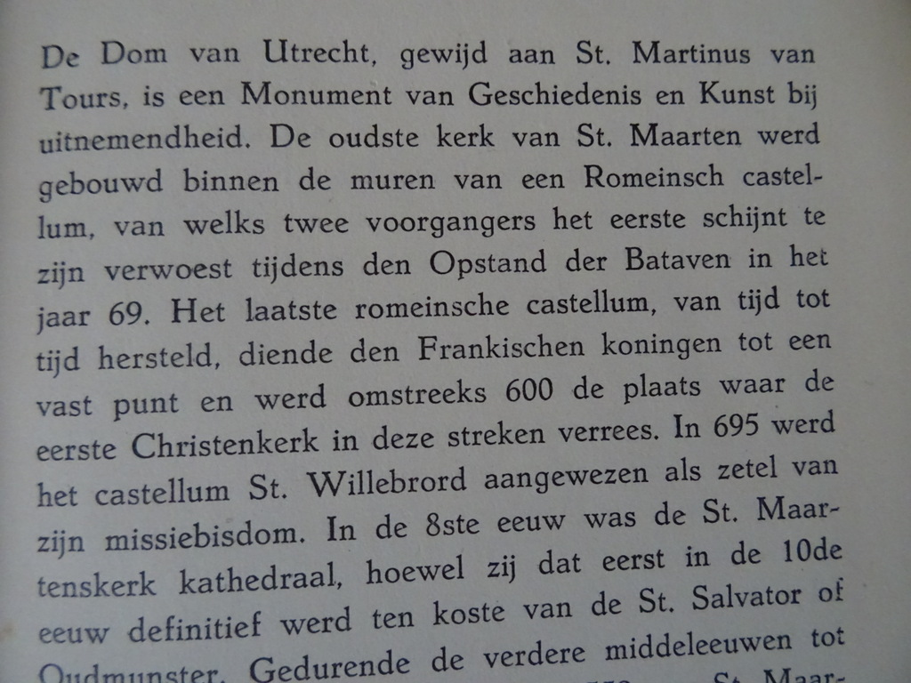 Dr. E. H. Ter Kuile De Dom van Utrecht - Afbeelding 13