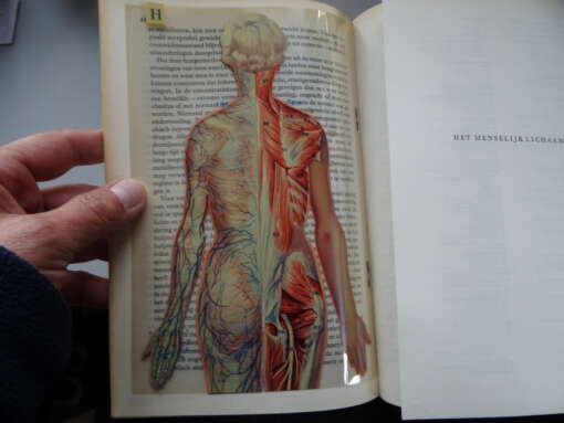 Dr. O.M. de Vaal Modern medisch advies