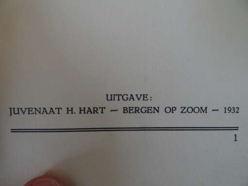 Henriette Brey Het licht der wereld