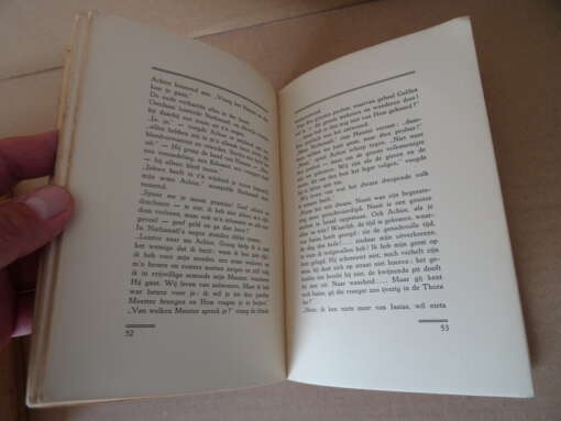 Henriette Brey Het licht der wereld
