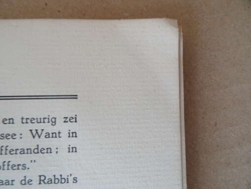Henriette Brey Het licht der wereld
