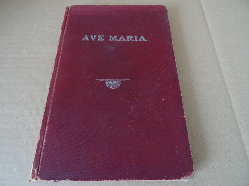Ave Maria verhalen enz. vooral gewijd aan de vereering - Afbeelding 2