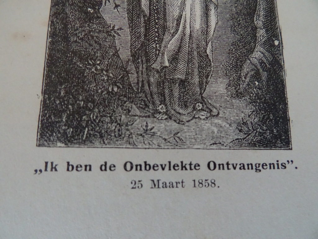 Ave Maria verhalen enz. vooral gewijd aan de vereering - Afbeelding 7