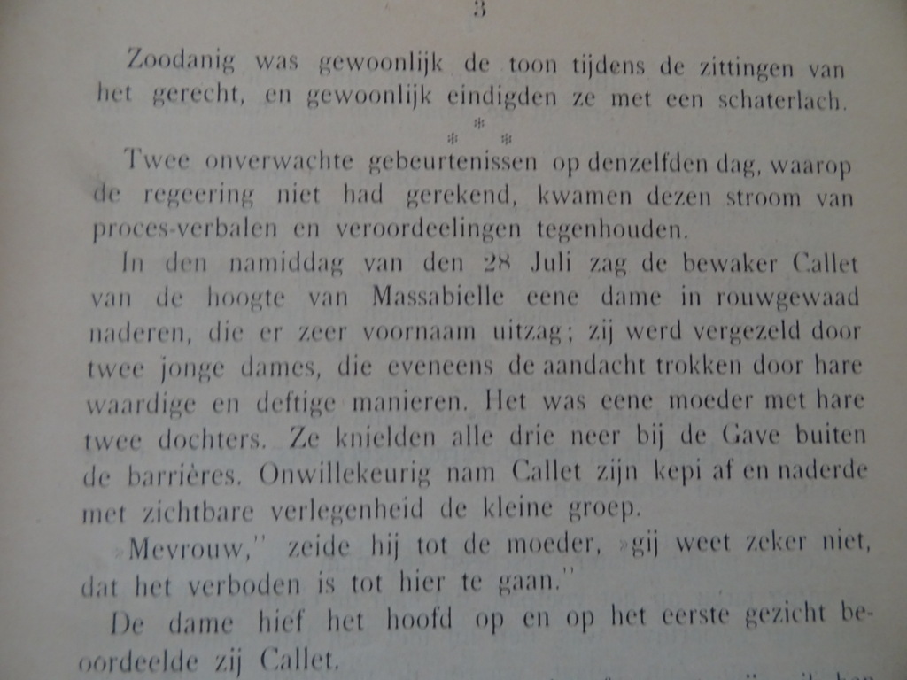 Ave Maria verhalen enz. vooral gewijd aan de vereering - Afbeelding 14
