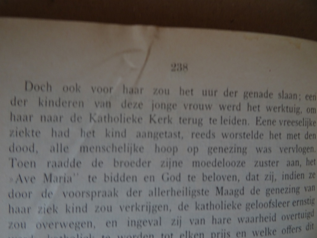 Ave Maria verhalen enz. vooral gewijd aan de vereering - Afbeelding 17
