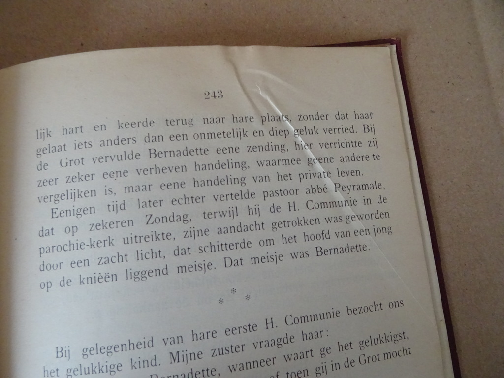 Ave Maria verhalen enz. vooral gewijd aan de vereering - Afbeelding 18