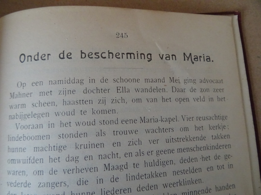 Ave Maria verhalen enz. vooral gewijd aan de vereering - Afbeelding 19