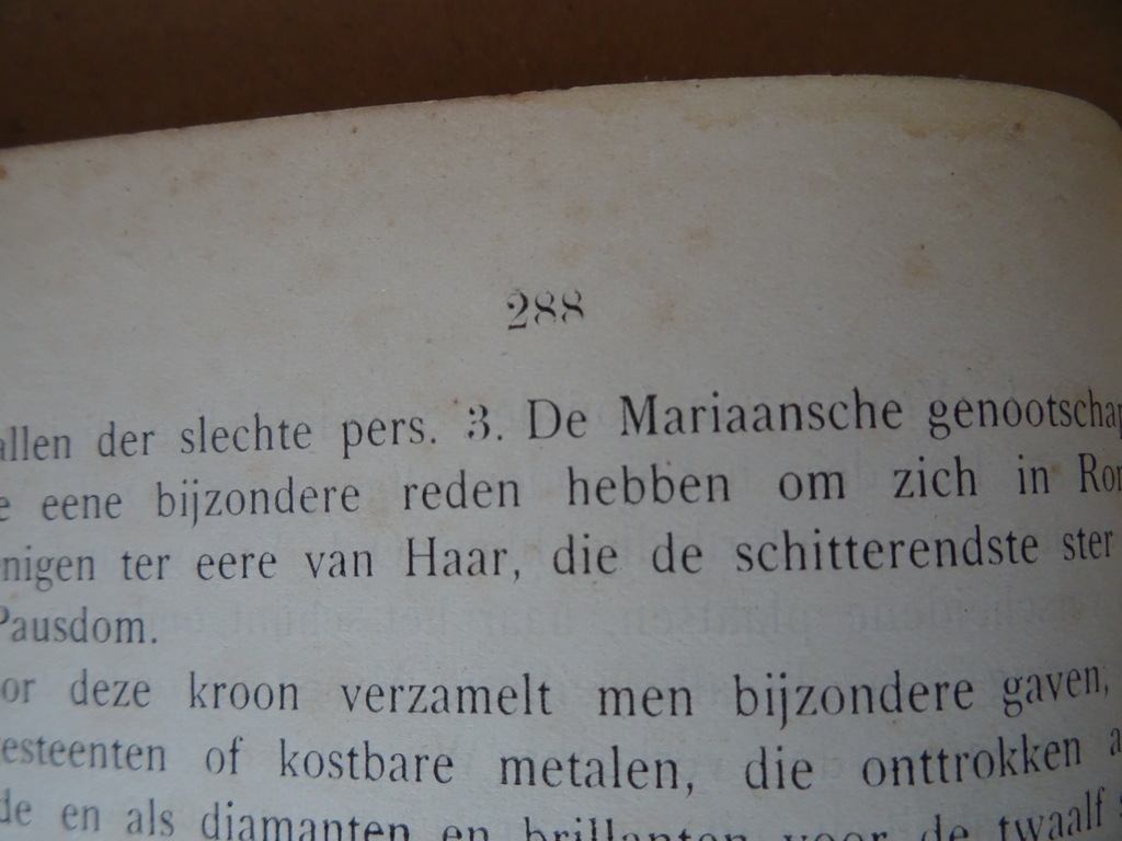 Ave Maria verhalen enz. vooral gewijd aan de vereering - Afbeelding 20