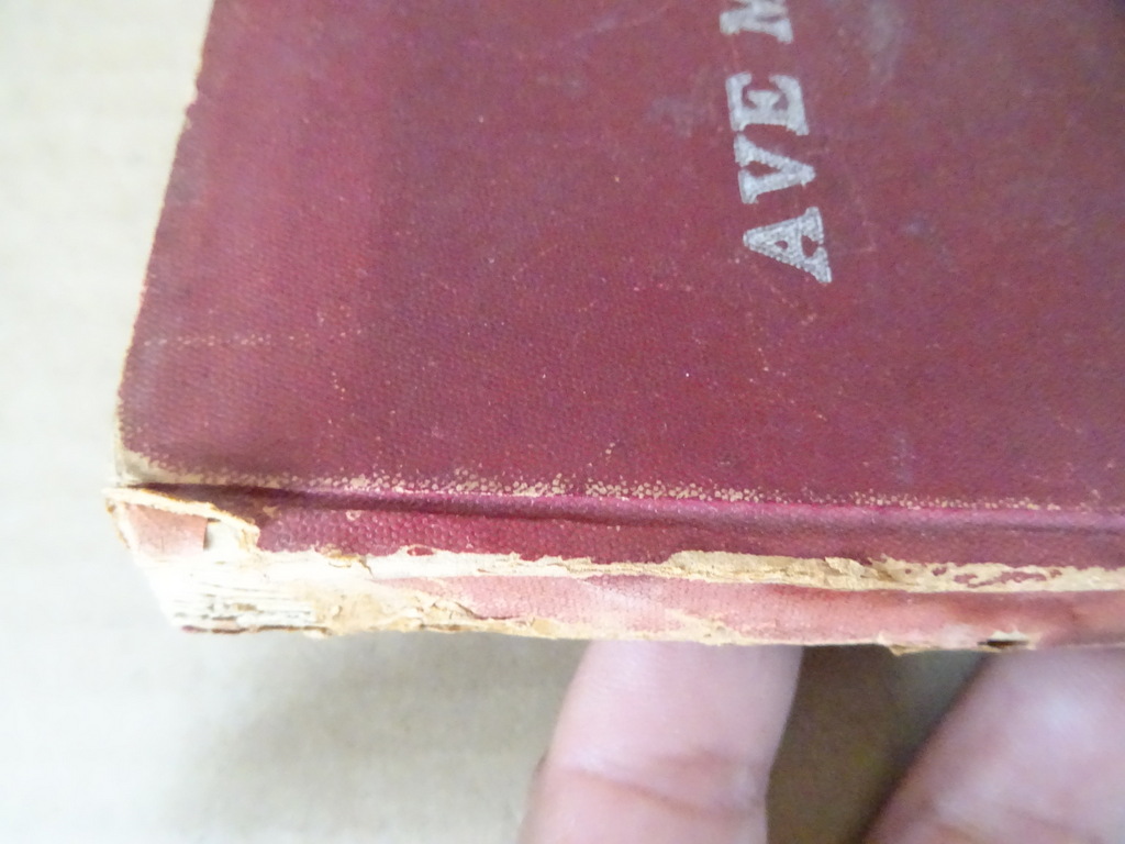Ave Maria verhalen enz. vooral gewijd aan de vereering - Afbeelding 24