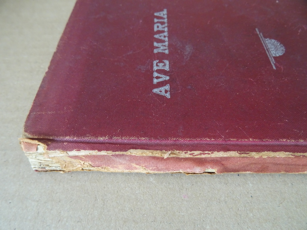 Ave Maria verhalen enz. vooral gewijd aan de vereering - Afbeelding 25