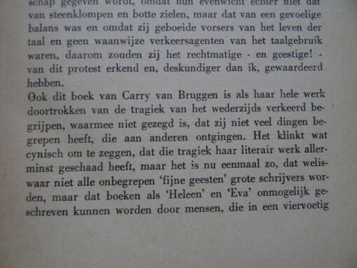 Carry van Bruggen Hedendaagsch fetischisme