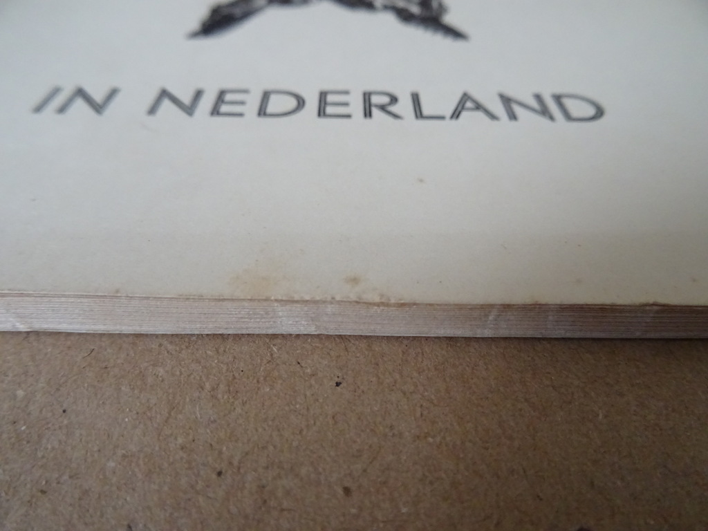 Vijftig jaar Benedictijnen in Nederland - Afbeelding 22