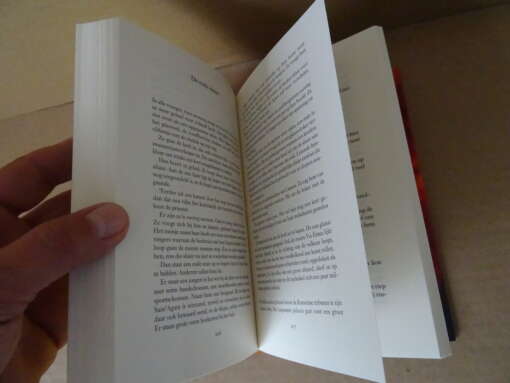 Rosita Steenbeek Siciliaans testament
