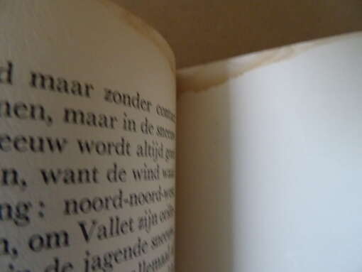 De windroos 1940