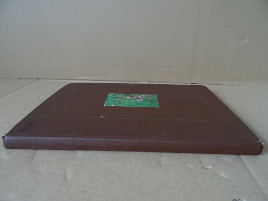 Vintage plakboek met filmsterren - Afbeelding 50