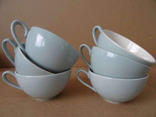 Antieke pastel blauwe kop en schotels Petrus Regout & Co