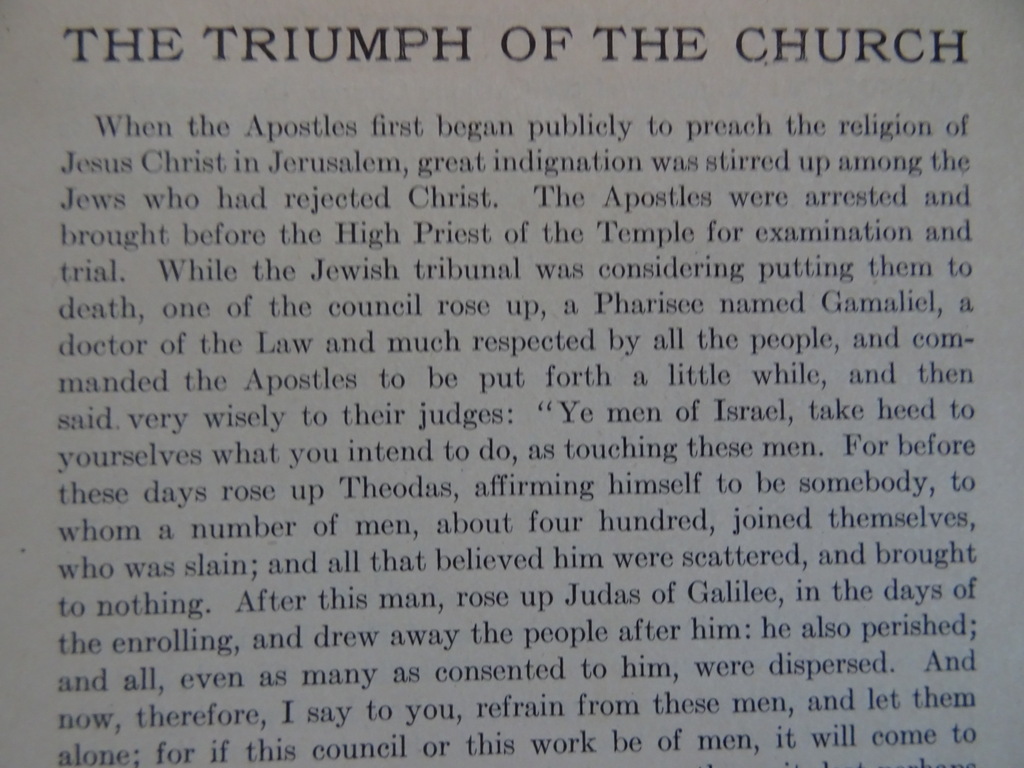 Rev. John P. Markoe The triumph of the church - Afbeelding 17