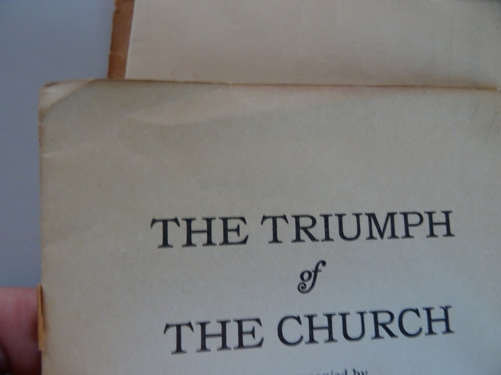 Rev. John P. Markoe The triumph of the church - Afbeelding 19