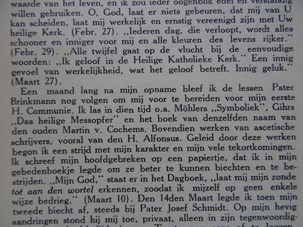 Johannes Jörgensen Nadat ik christen was - Afbeelding 10