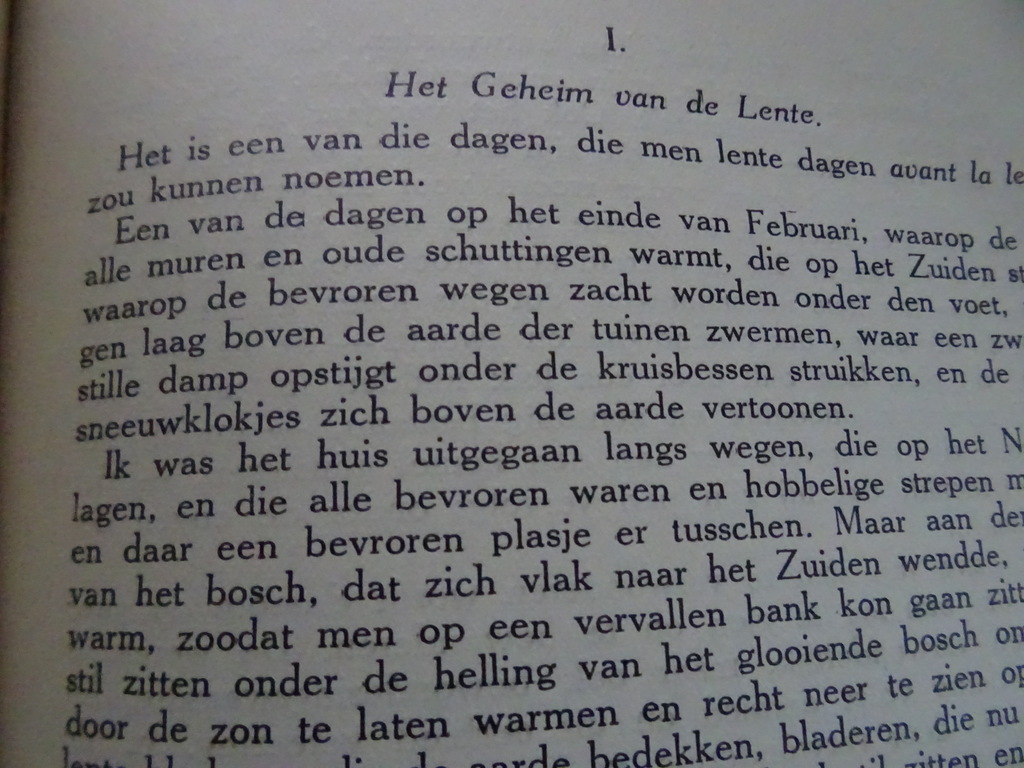Johannes Jörgensen Nadat ik christen was - Afbeelding 17
