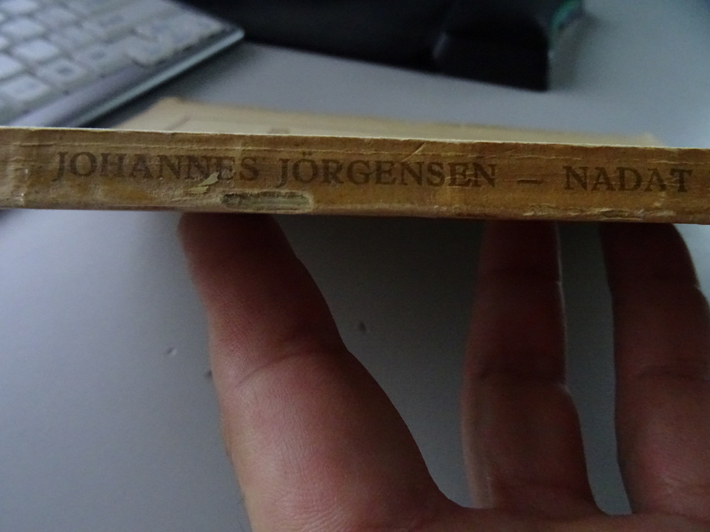 Johannes Jörgensen Nadat ik christen was - Afbeelding 31
