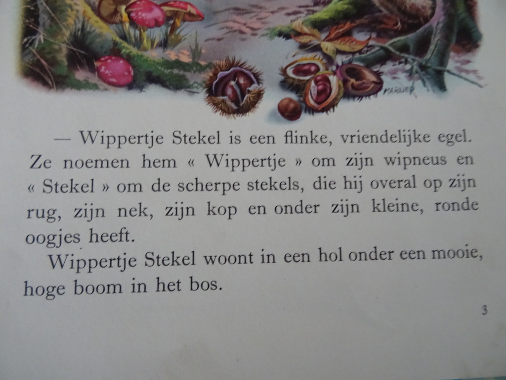 Jeanne Dethise Wippertje Stekel - Afbeelding 10