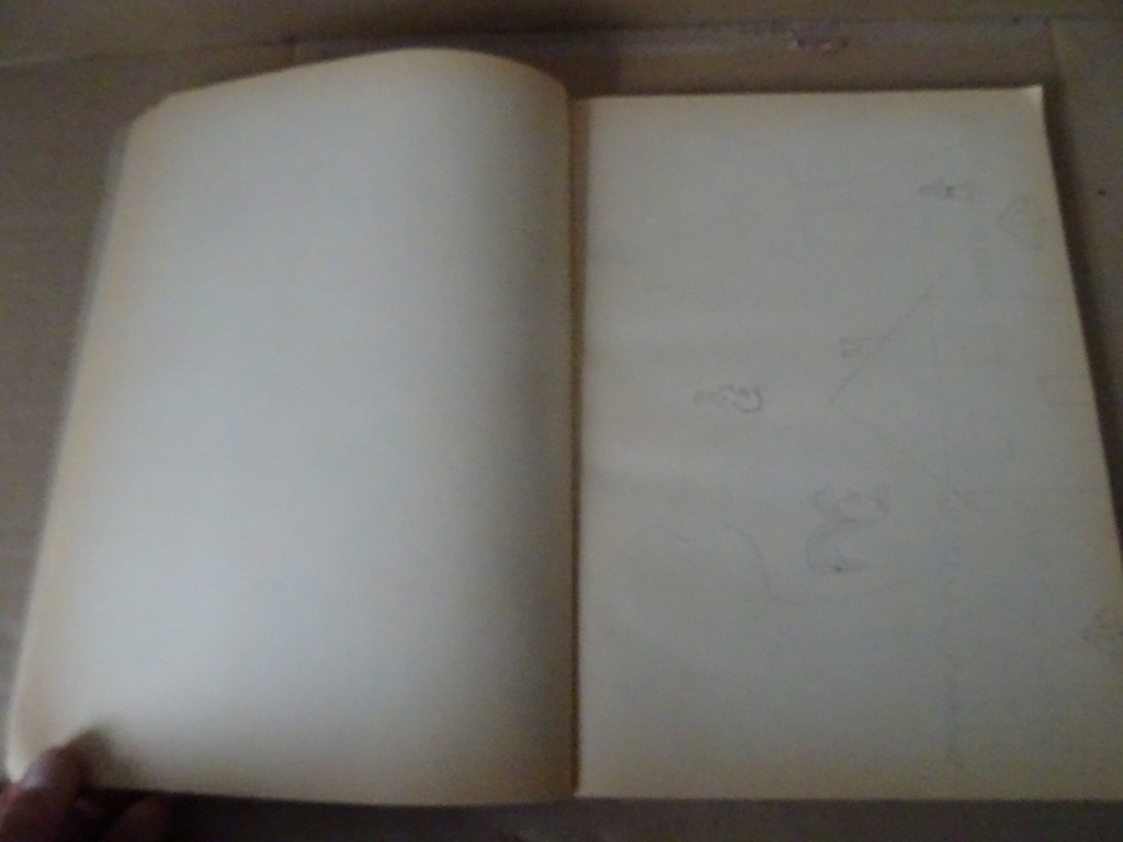 Vintage groot kleur-en tekenboek 112 bladzijden - Afbeelding 9