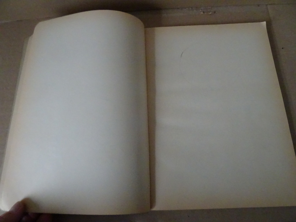Vintage groot kleur-en tekenboek 112 bladzijden - Afbeelding 12
