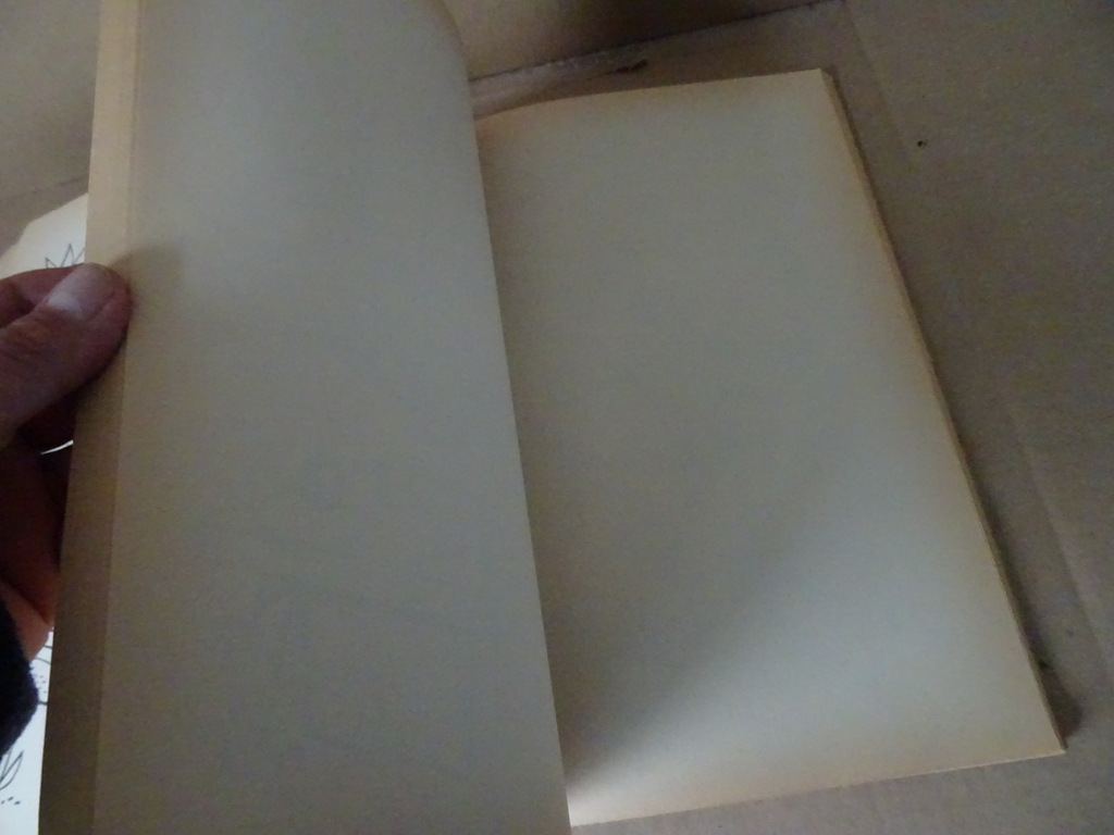 Vintage groot kleur-en tekenboek 112 bladzijden - Afbeelding 20
