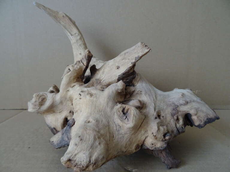 Curiosa houten beeld 23cm