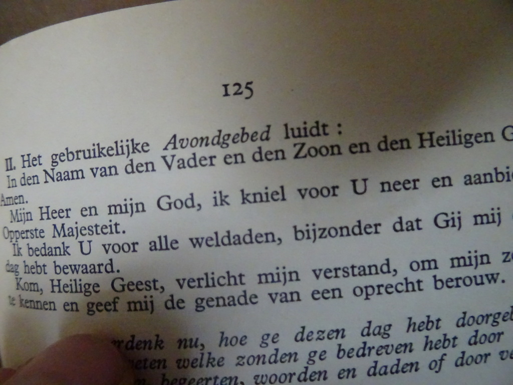 M. F. Dekkers Roomsch katholieke godsdienstleer Nu 3 delen! - Afbeelding 22
