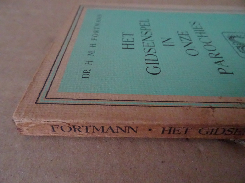 Dr H. M. H. Fortmann Het gidsenspel in onze parochies Dr H. M. H. Fortmann Het gidsenspel in onze parochies