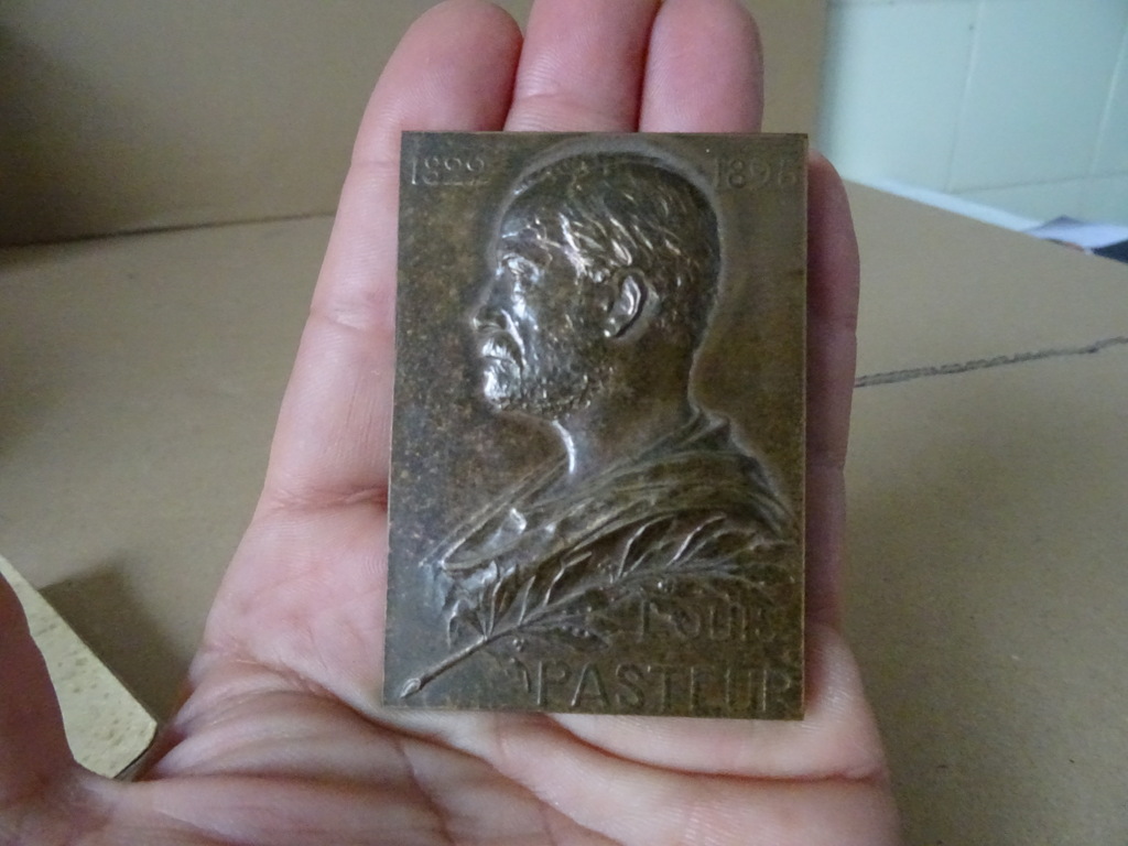 Art nouveau bronzen plaquette Louis Pasteur - Afbeelding 2