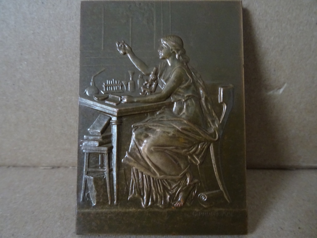 Art nouveau bronzen plaquette Louis Pasteur - Afbeelding 5
